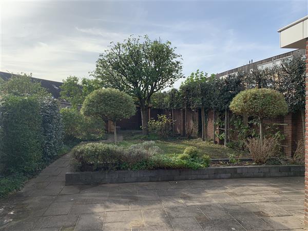 Grote foto tuinonderhoud tuindiensten tuin en terras overige tuin en terras