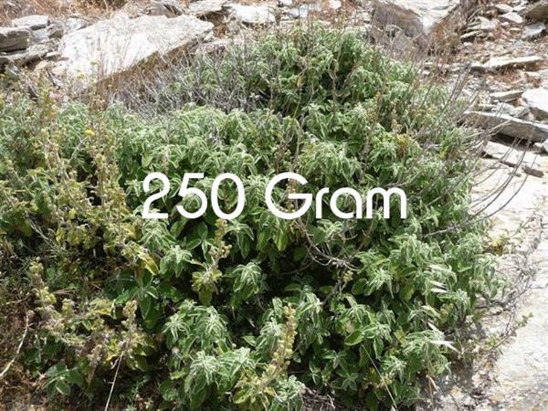 Grote foto griekse salie smudge sticks salvia fruticosa huis en inrichting woningdecoratie