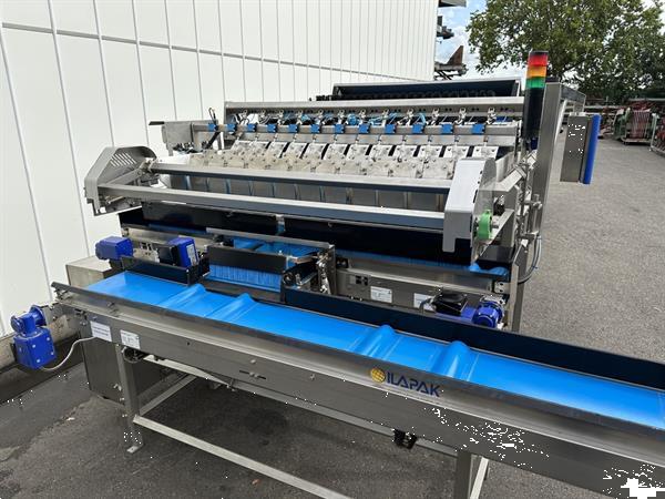 Grote foto ilapak w1200sf afweegmachine met telfunctie voor fruit agrarisch tuinbouw