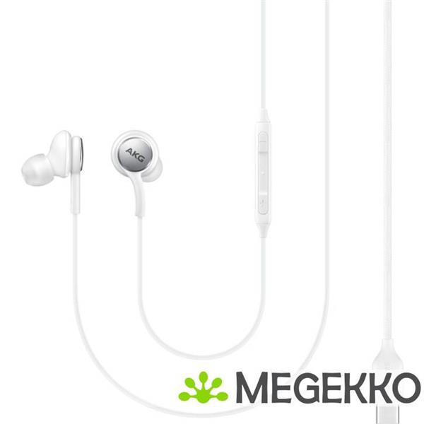 Grote foto samsung eo ic100 in ear bedraad wit usb c audio tv en foto koptelefoons