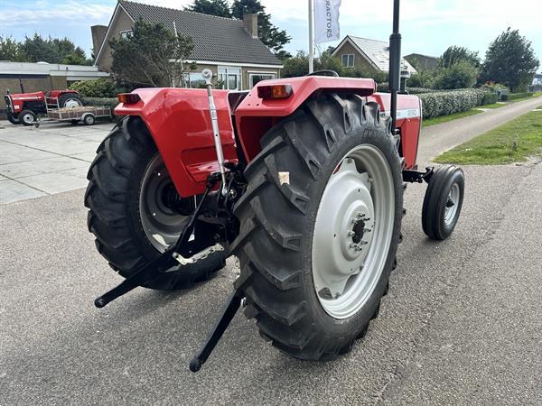 Grote foto massey ferguson 290 agrarisch tractoren