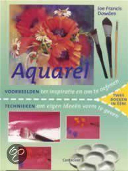 Grote foto aquarel voorbeelden en technieken boeken hobby en vrije tijd
