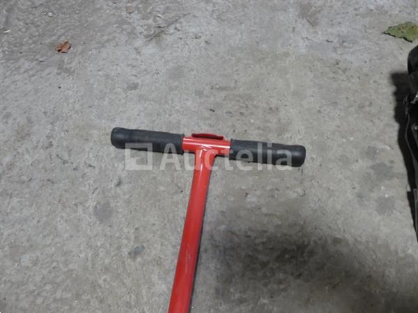 Grote foto bollen planter tuin en terras overige tuin en terras