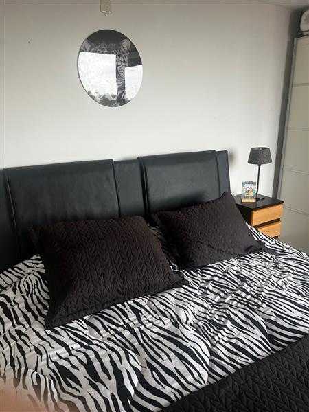Grote foto appartement huizen en kamers appartementen en flats