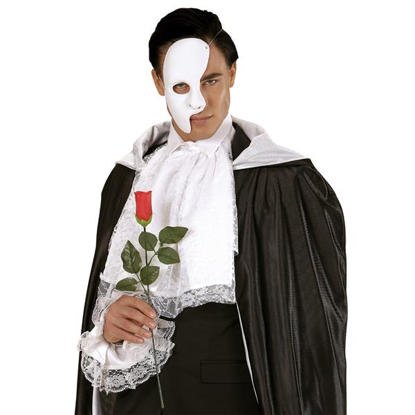 Grote foto halloween masker wit half verzamelen overige verzamelingen