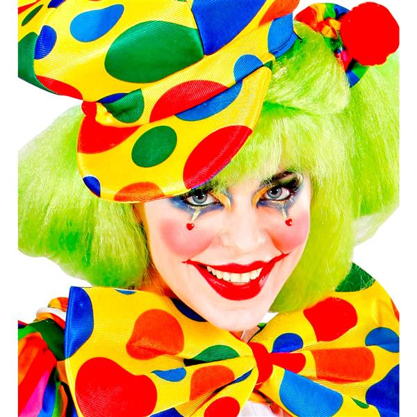 Grote foto clown schminkset 6 delig verzamelen overige verzamelingen