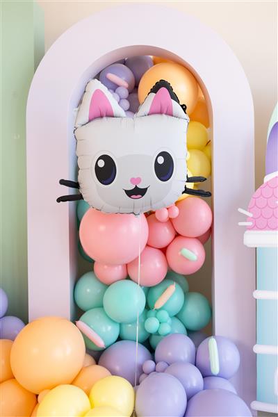 Grote foto pandy paws folie ballon 65x57 cm verzamelen overige verzamelingen