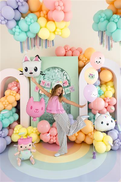 Grote foto pandy paws folie ballon 65x57 cm verzamelen overige verzamelingen