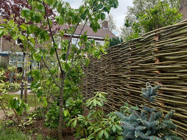 Grote foto wilgentenen schutting tuin en terras hekken en schuttingen