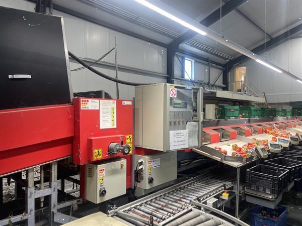 Grote foto aweta gmb4 12 1 paprikasorteermachine met opvoerband en weegschalen agrarisch tuinbouw