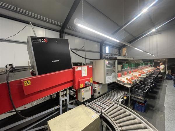 Grote foto aweta gmb4 12 1 paprikasorteermachine met opvoerband en weegschalen agrarisch tuinbouw