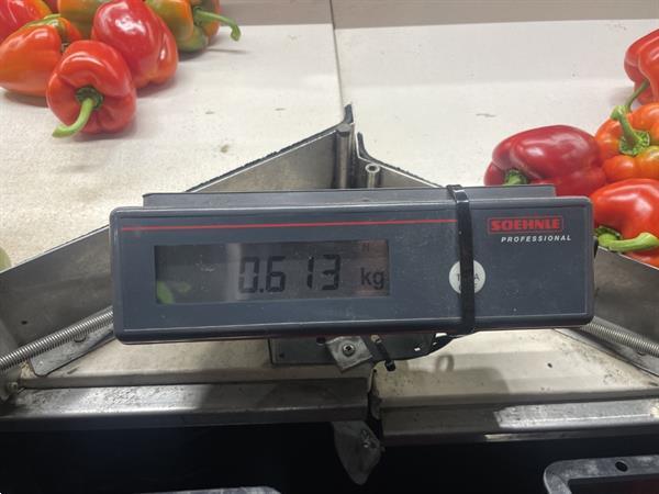 Grote foto aweta gmb4 12 1 paprikasorteermachine met opvoerband en weegschalen agrarisch tuinbouw