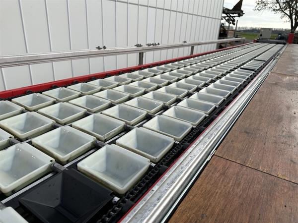 Grote foto aweta gmb4 12 1 paprikasorteermachine met opvoerband en weegschalen agrarisch tuinbouw