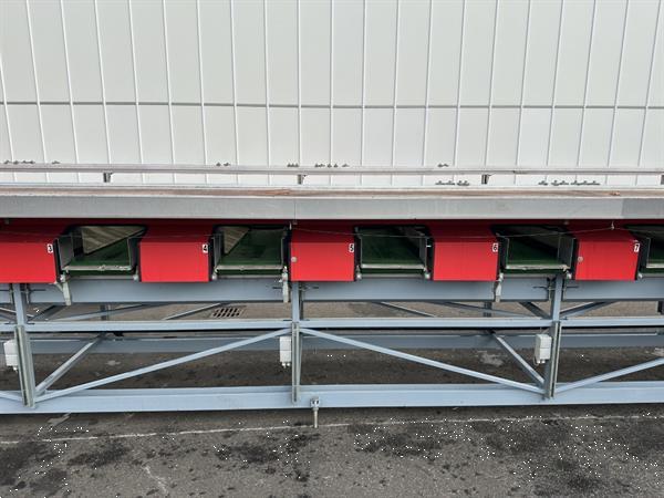 Grote foto aweta gmb4 12 1 paprikasorteermachine met opvoerband en weegschalen agrarisch tuinbouw