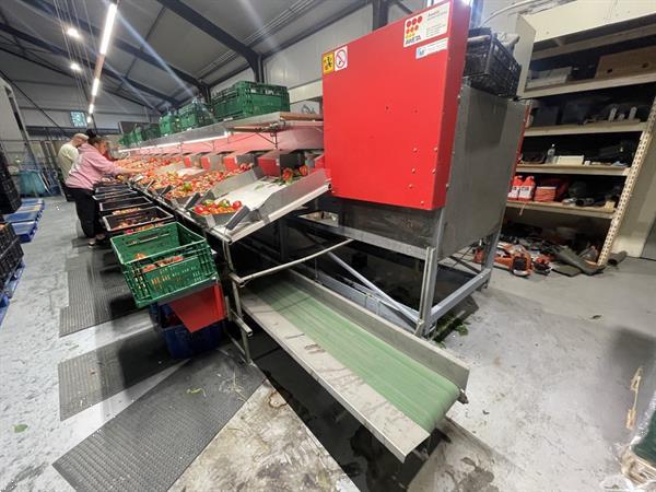 Grote foto aweta gmb4 12 1 paprikasorteermachine met opvoerband en weegschalen agrarisch tuinbouw
