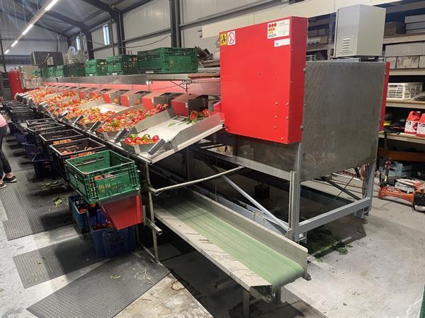 Grote foto aweta gmb4 12 1 paprikasorteermachine met opvoerband en weegschalen agrarisch tuinbouw