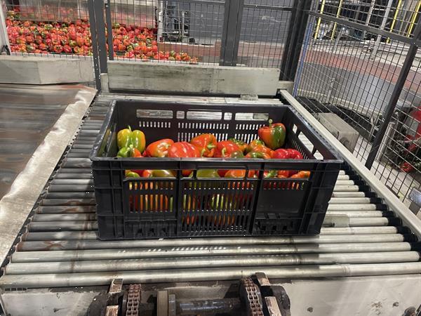 Grote foto sorma palletiseerder plaat met draaikrans agrarisch tuinbouw