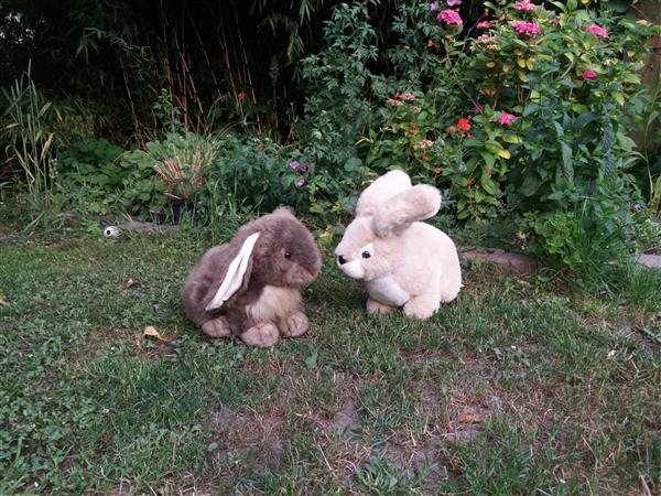 Grote foto gezocht leuke vrouw erotiek man zoekt relatie met vrouw