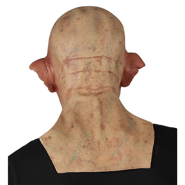 Grote foto halloween masker zombie met nek en borst verzamelen overige verzamelingen