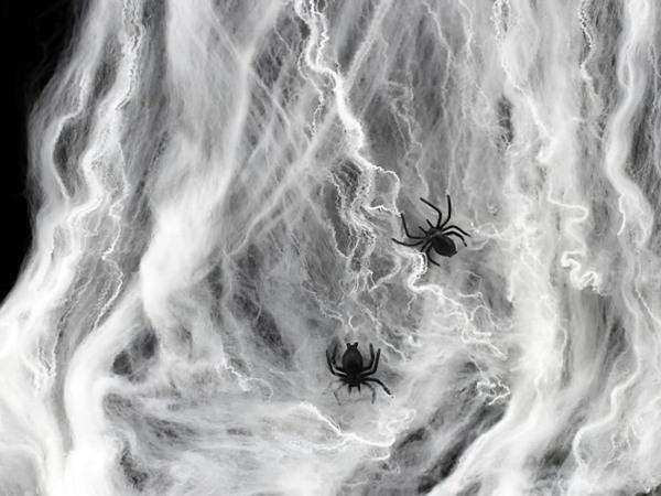 Grote foto spinnenweb wit met 4 spinnetjes halloween decoratie verzamelen overige verzamelingen