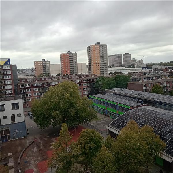 Grote foto alleen voor de vrouw met of zonder kind diversen overige