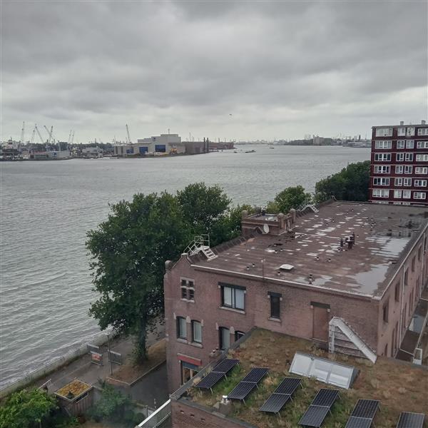 Grote foto alleen voor de vrouw met of zonder kind diversen overige