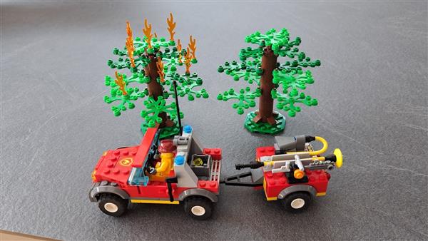 Grote foto blusvliegtuig 4209 kinderen en baby duplo en lego