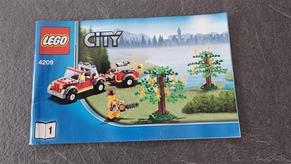 Grote foto blusvliegtuig 4209 kinderen en baby duplo en lego