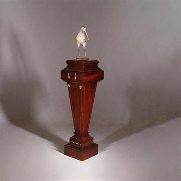 Grote foto zeer hoge zuil of pedestal in notenhout met zwart en goud. no.332425 antiek en kunst overige in antiek gebruiksvoorwerpen