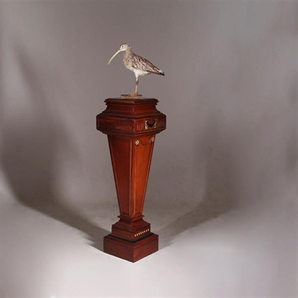 Grote foto zeer hoge zuil of pedestal in notenhout met zwart en goud. no.332425 antiek en kunst overige in antiek gebruiksvoorwerpen