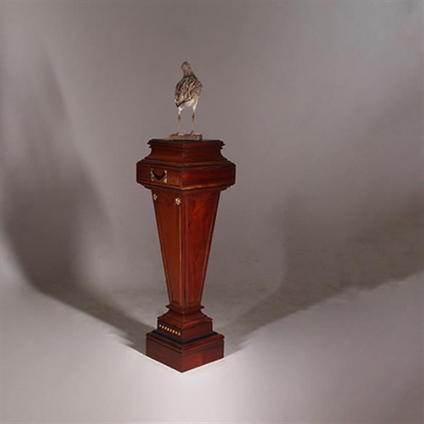 Grote foto zeer hoge zuil of pedestal in notenhout met zwart en goud. no.332425 antiek en kunst overige in antiek gebruiksvoorwerpen