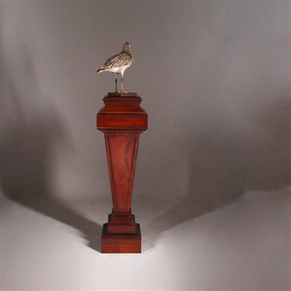 Grote foto zeer hoge zuil of pedestal in notenhout met zwart en goud. no.332425 antiek en kunst overige in antiek gebruiksvoorwerpen
