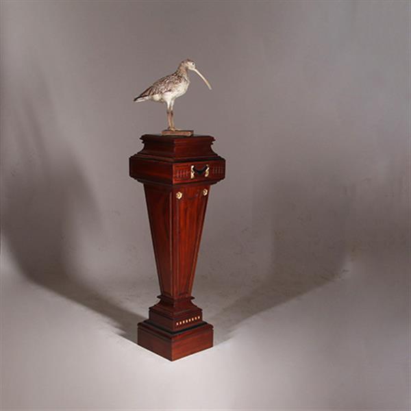 Grote foto zeer hoge zuil of pedestal in notenhout met zwart en goud. no.332425 antiek en kunst overige in antiek gebruiksvoorwerpen