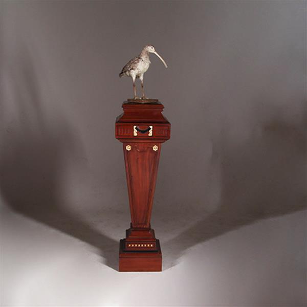 Grote foto zeer hoge zuil of pedestal in notenhout met zwart en goud. no.332425 antiek en kunst overige in antiek gebruiksvoorwerpen