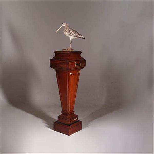 Grote foto zeer hoge zuil of pedestal in notenhout met zwart en goud. no.332425 antiek en kunst overige in antiek gebruiksvoorwerpen