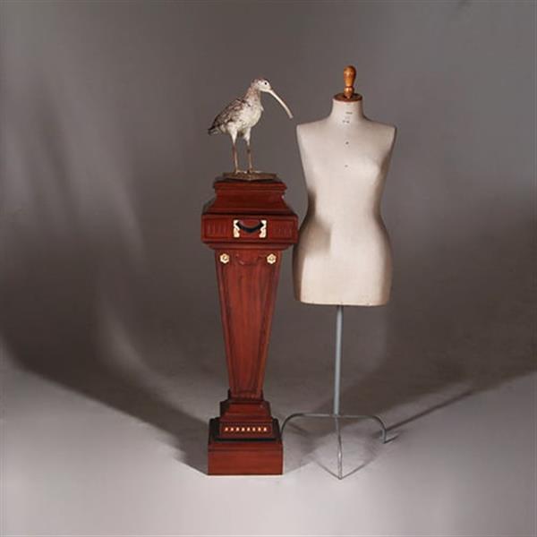 Grote foto zeer hoge zuil of pedestal in notenhout met zwart en goud. no.332425 antiek en kunst overige in antiek gebruiksvoorwerpen