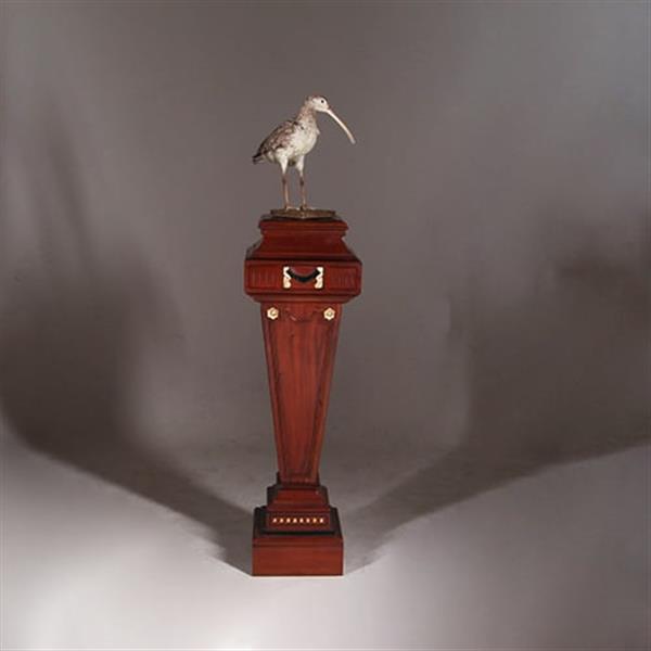 Grote foto zeer hoge zuil of pedestal in notenhout met zwart en goud. no.332425 antiek en kunst overige in antiek gebruiksvoorwerpen
