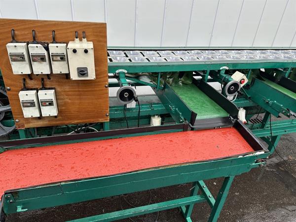 Grote foto greefa mechanische gewichtsorteermachine voor appels en tomaten agrarisch tuinbouw