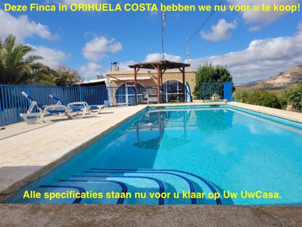 Grote foto uw finca in orihuela costa met gastenverblijf en huizen en kamers bestaand europa