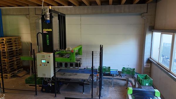 Grote foto greefa combisort fruit en appelsorteermachine 2 lijnen met waterdumper automatische dozenvullers e agrarisch tuinbouw
