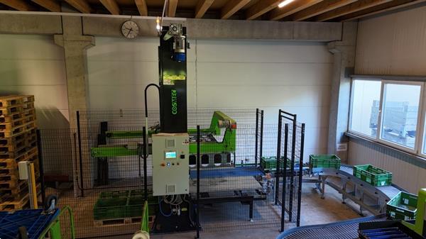 Grote foto greefa combisort fruit en appelsorteermachine 2 lijnen met waterdumper automatische dozenvullers e agrarisch tuinbouw