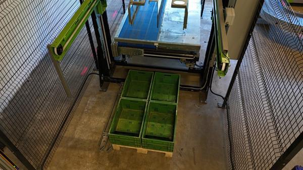 Grote foto greefa combisort fruit en appelsorteermachine 2 lijnen met waterdumper automatische dozenvullers e agrarisch tuinbouw
