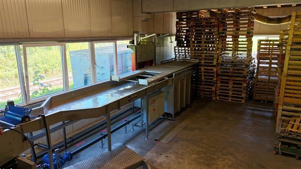 Grote foto greefa combisort fruit en appelsorteermachine 2 lijnen met waterdumper automatische dozenvullers e agrarisch tuinbouw