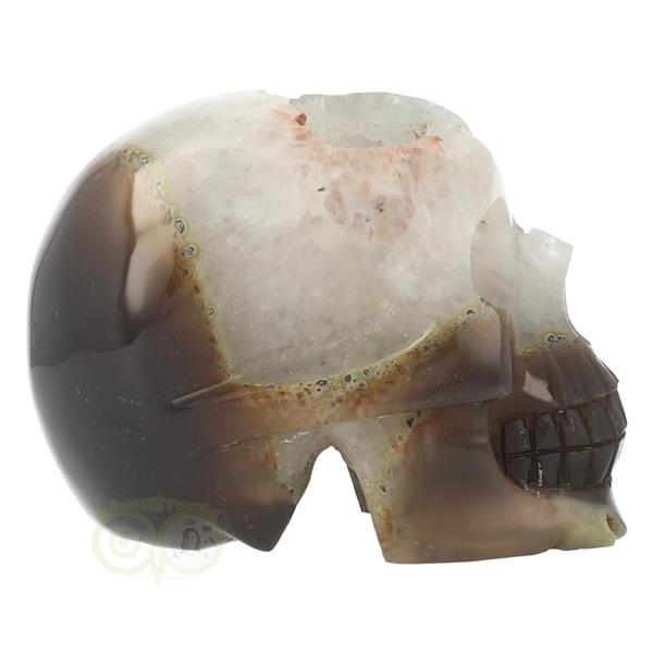 Grote foto agaat geode kristallen schedel 1 5 kilo verzamelen overige verzamelingen