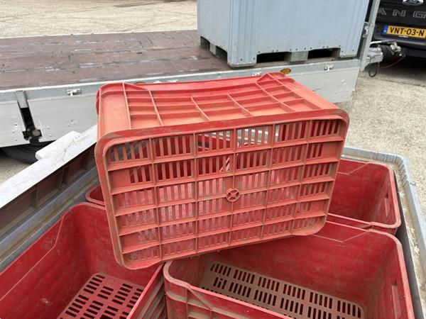 Grote foto asperges kunstof bakken kratten agrarisch algemeen