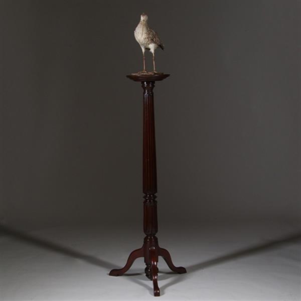 Grote foto zeer hoge elegante piedestal met verdiept blad in donker notenhout no.332430 antiek en kunst stoelen en banken