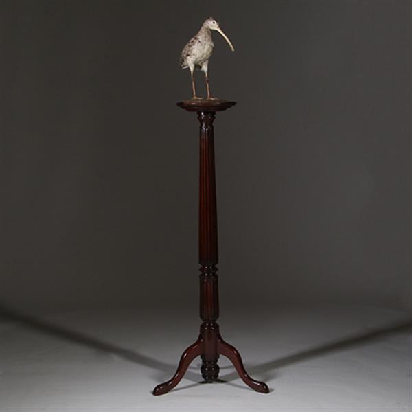 Grote foto zeer hoge elegante piedestal met verdiept blad in donker notenhout no.332430 antiek en kunst stoelen en banken