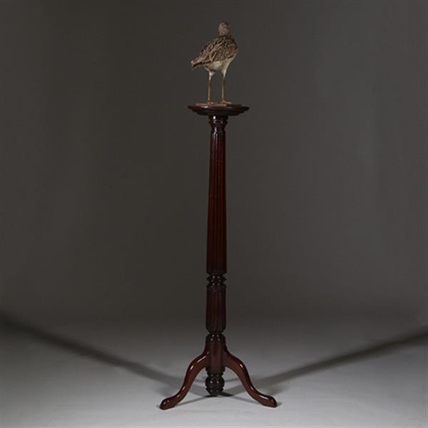Grote foto zeer hoge elegante piedestal met verdiept blad in donker notenhout no.332430 antiek en kunst stoelen en banken