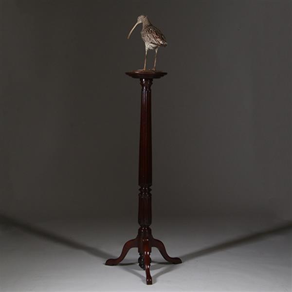 Grote foto zeer hoge elegante piedestal met verdiept blad in donker notenhout no.332430 antiek en kunst stoelen en banken