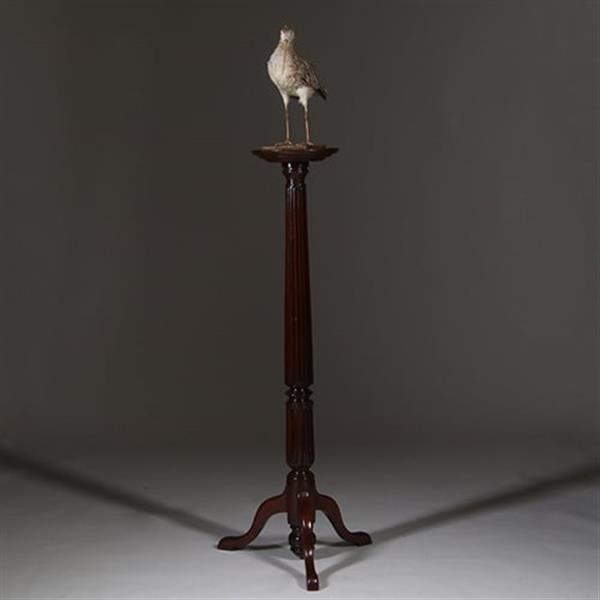 Grote foto zeer hoge elegante piedestal met verdiept blad in donker notenhout no.332430 antiek en kunst stoelen en banken